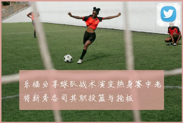 乐福分享球队战术演变热身赛中老将新秀各司其职投篮与抢板