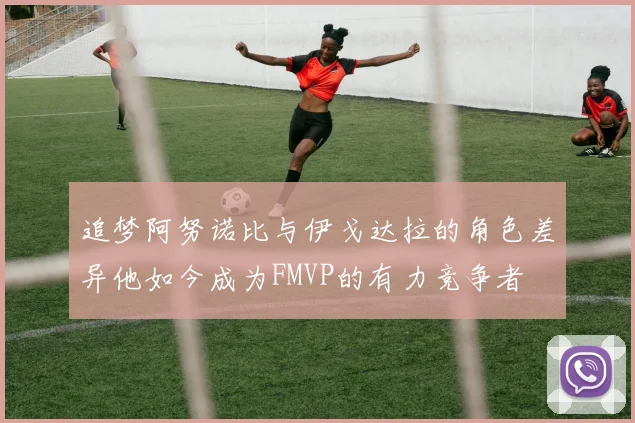 追梦阿努诺比与伊戈达拉的角色差异他如今成为FMVP的有力竞争者