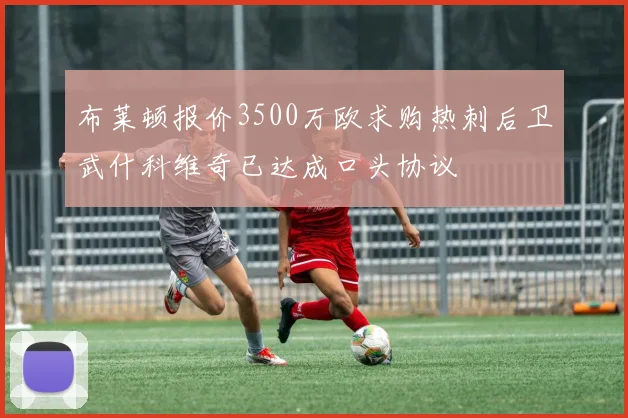 布莱顿报价3500万欧求购热刺后卫武什科维奇已达成口头协议