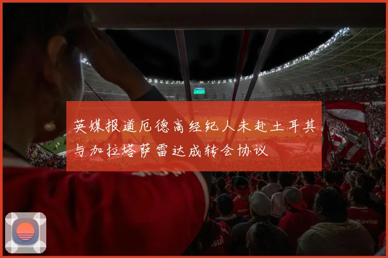英媒报道厄德高经纪人未赴土耳其与加拉塔萨雷达成转会协议